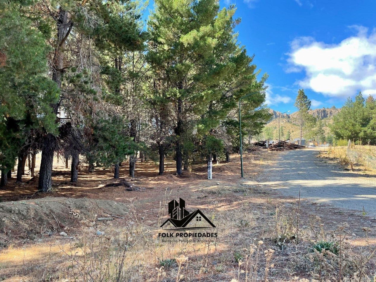 LOTE EN VENTA EN DINA HUAPI 314m2 plano.