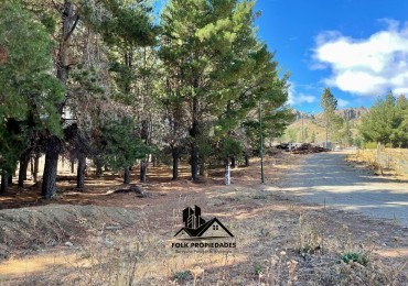 LOTE EN VENTA EN DINA HUAPI 278m2 plano.
